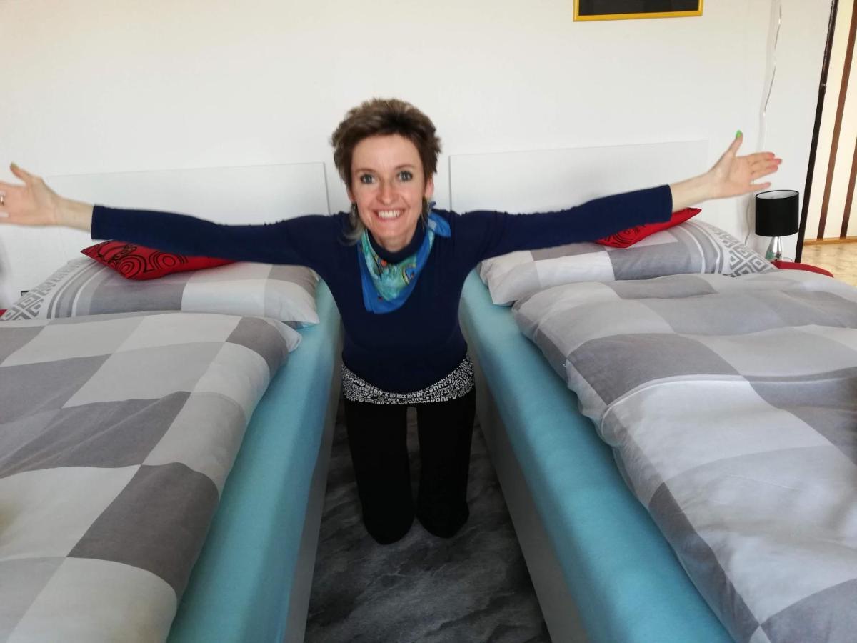Apartmany Mk U Modre Kocky Nove Hrady  Luaran gambar