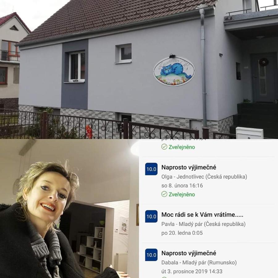 Apartmany Mk U Modre Kocky Nove Hrady  Luaran gambar